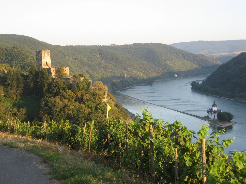 Rheinsteig #11 - In den Weinbergen bei Kaub