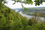 Rheinsteig #1 - Rheinblick