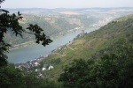 Rheinsteig #12 - Blick nach Kaub