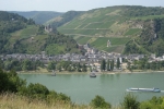 Rheinsteig #12 - Bacharach