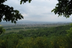 Rheinsteig #13 - Rüdesheim aus der Ferne