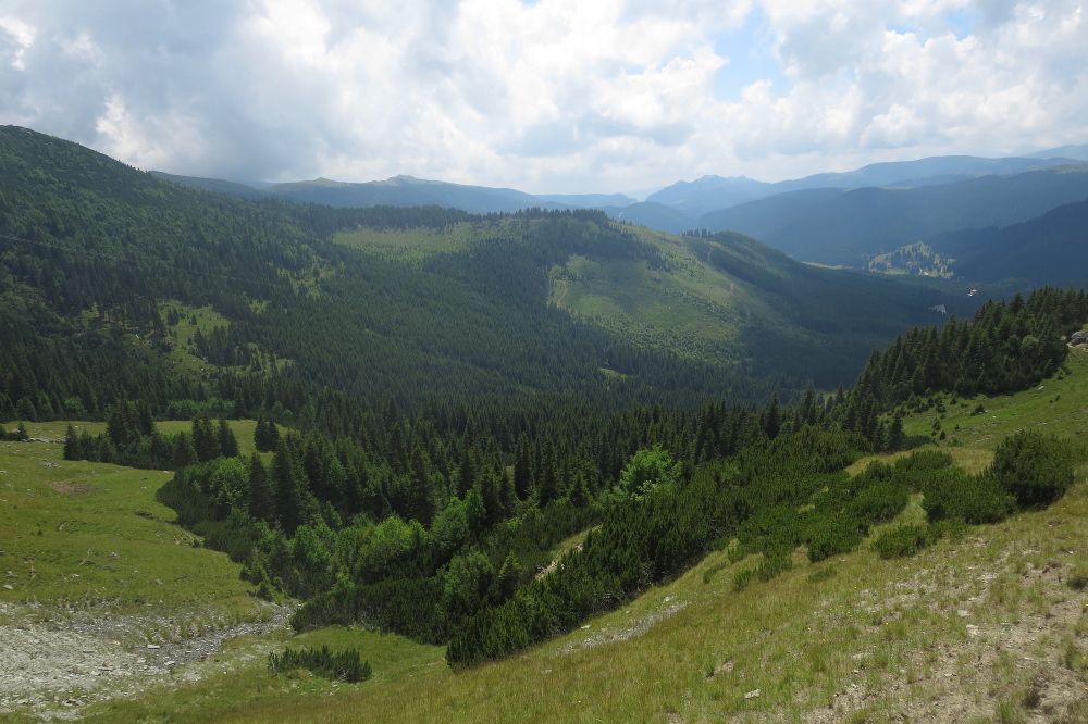 Karpaten - Blick ins Ialomita-Tal