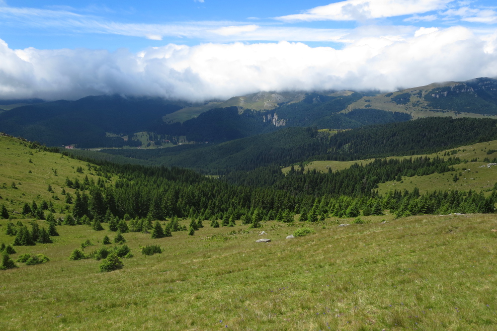 Karpaten - Blick ins Ialomita-Tal