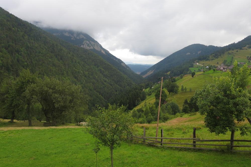 Karpaten - Magura