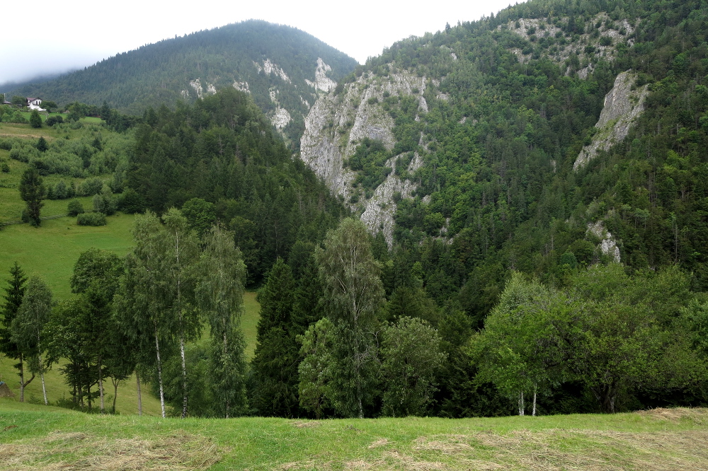 Karpaten - Blick in die Zarnesti-Schlucht