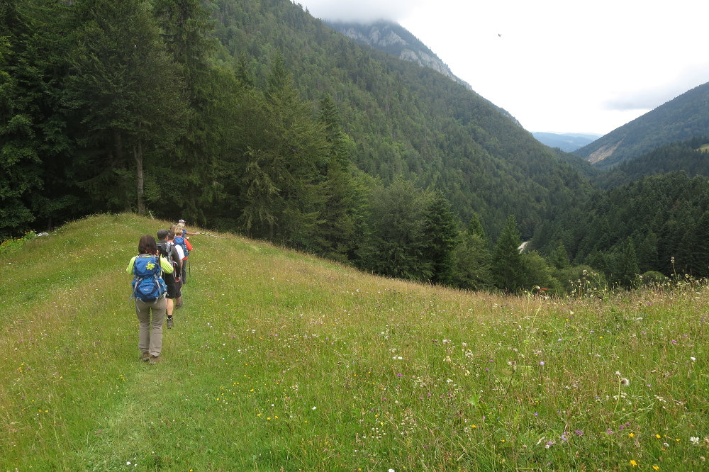 Karpaten - Abstieg in die Zarnesti-Schlucht