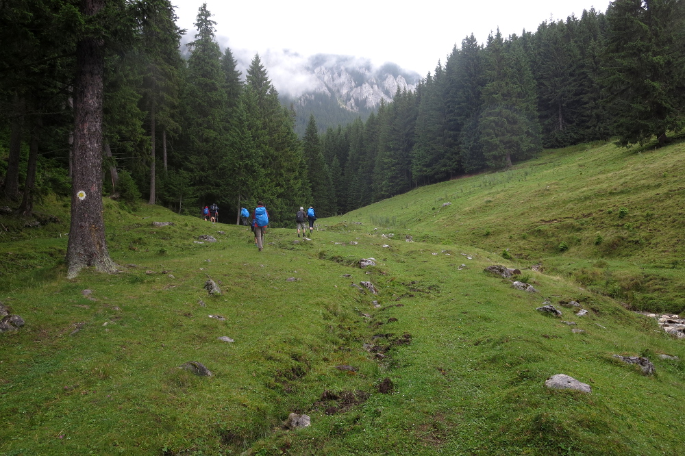 Karpaten - Aufstieg zur Curmatura-Hütte