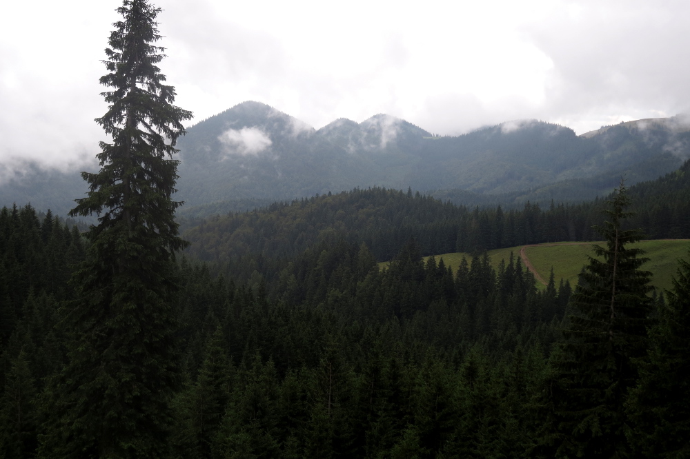 Karpaten - Königstein-Gebirge