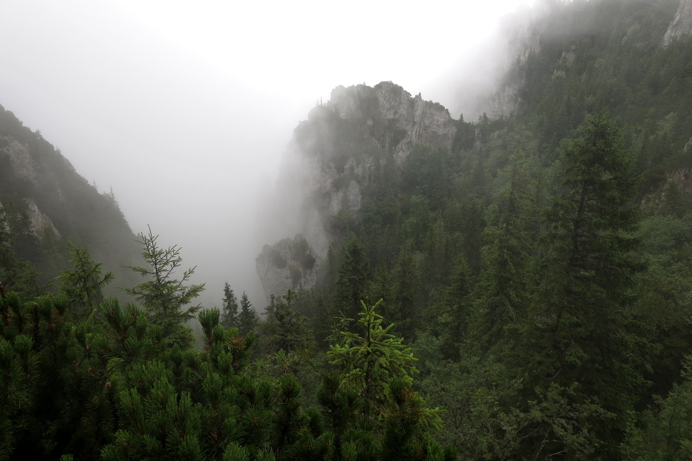 Karpaten - Königstein-Gebirge
