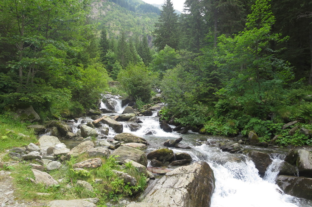 Karpaten - Im Balea-Tal