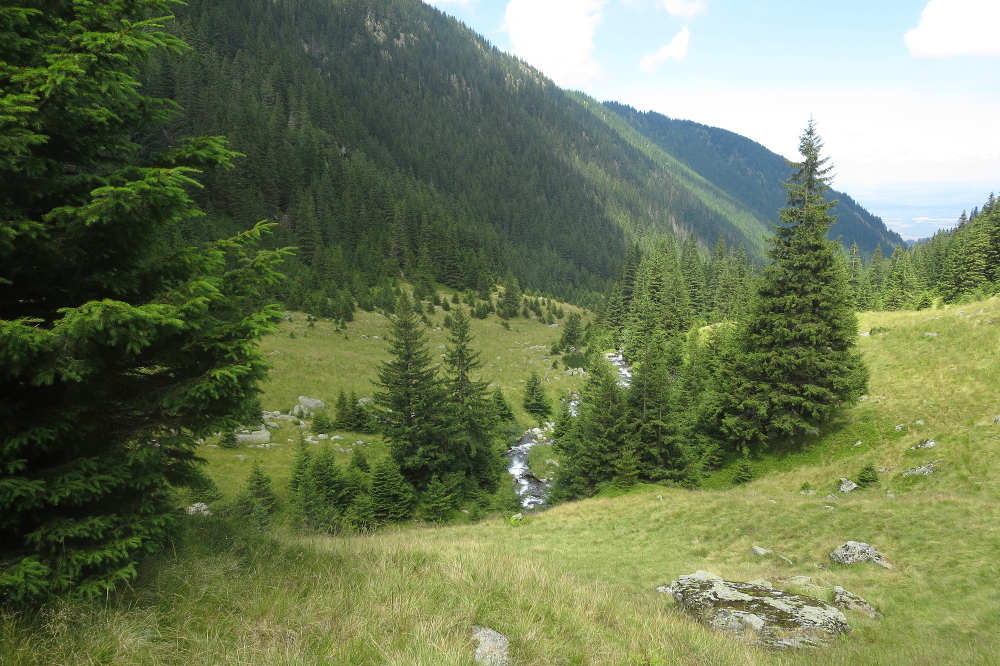 Karpaten - Im Fagaras-Gebirge