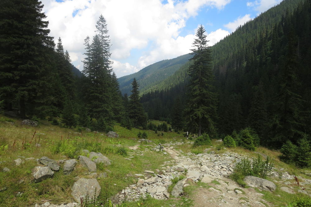 Karpaten - Im Sambata-Tal