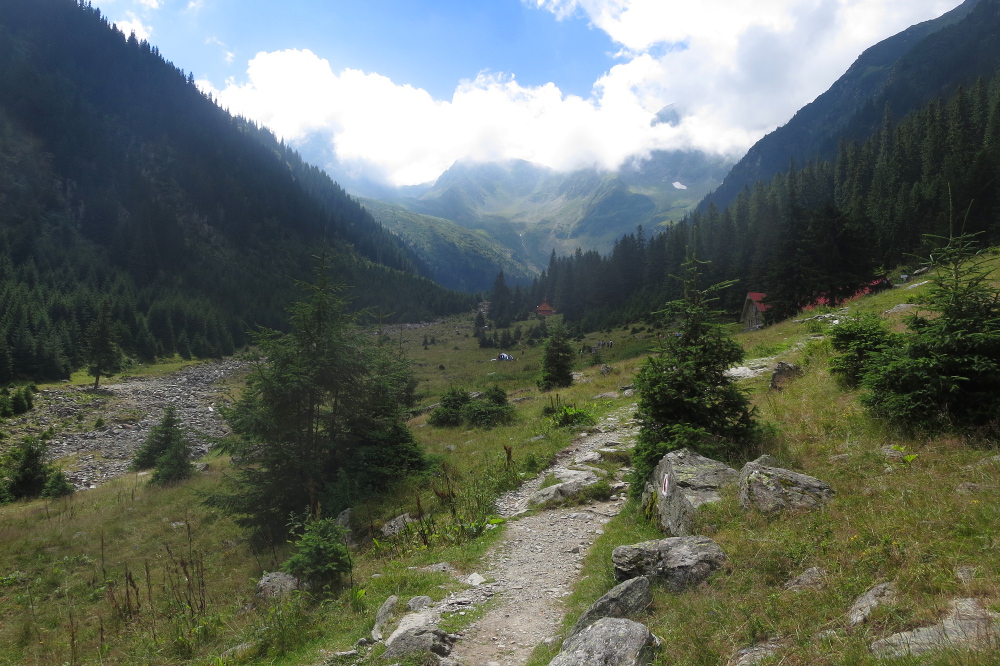 Karpaten - Im Sambata-Tal