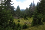 Karpaten - Aufstieg Richtung Piatra Arsa