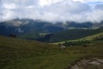 Karpaten - Blick ins Ialomita-Tal