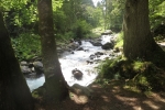Karpaten - Im Sambata-Tal