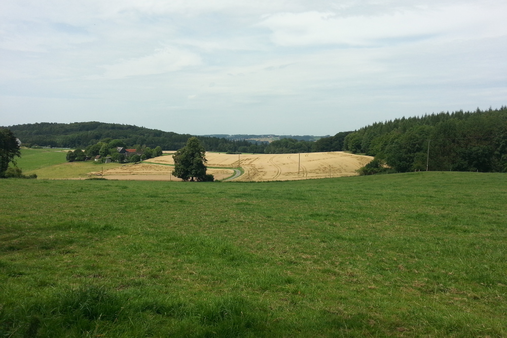 Sauersteig - Romberg Runde - Menden