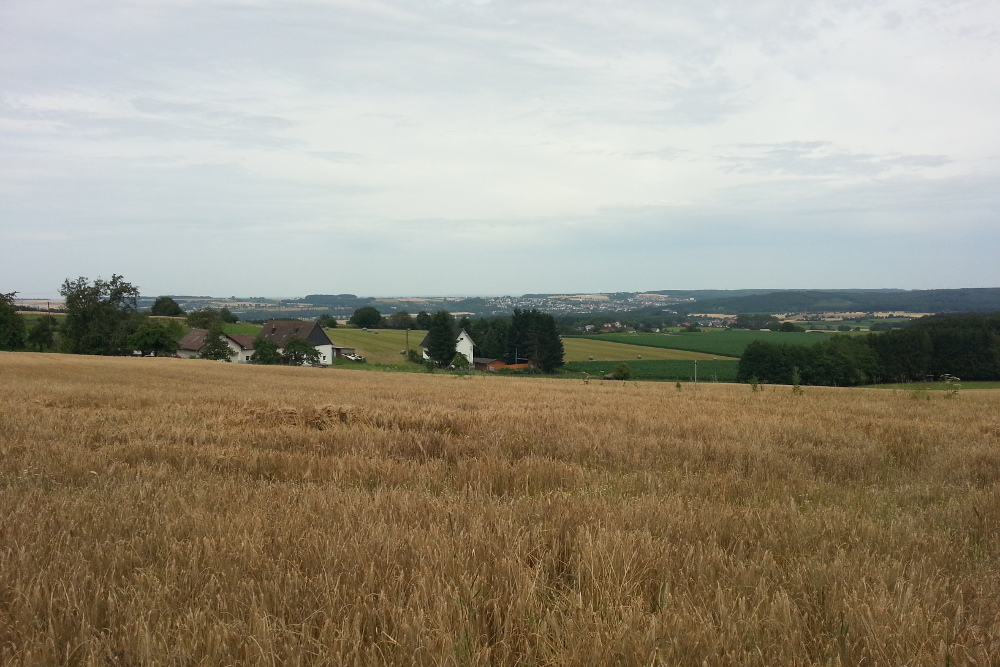 Sauersteig - Romberg Runde - Menden