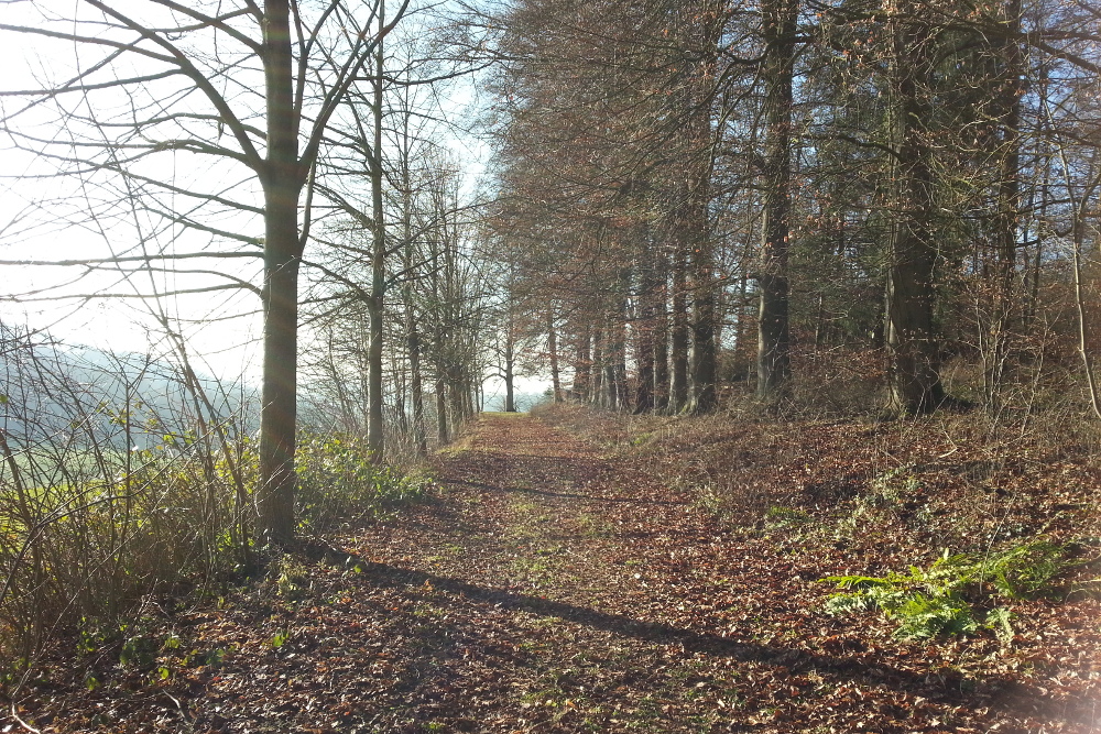 Sauersteig – Langscheider Gipfelrunde – Sorpesee
