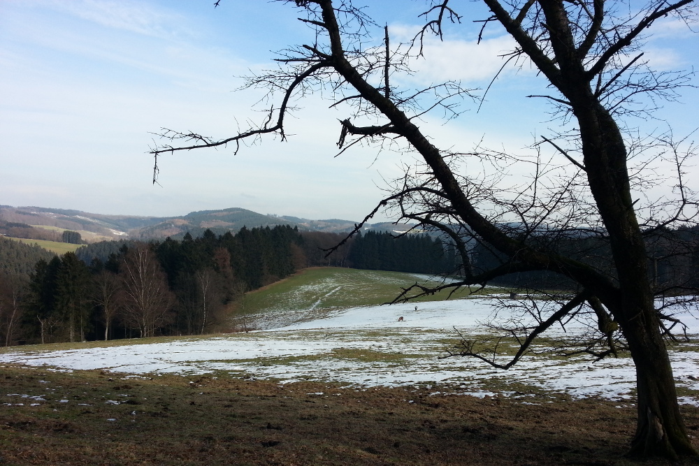 Sauersteig Meinhardus Runde - Meinerzhagen