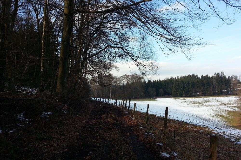 Sauersteig Meinhardus Runde - Meinerzhagen