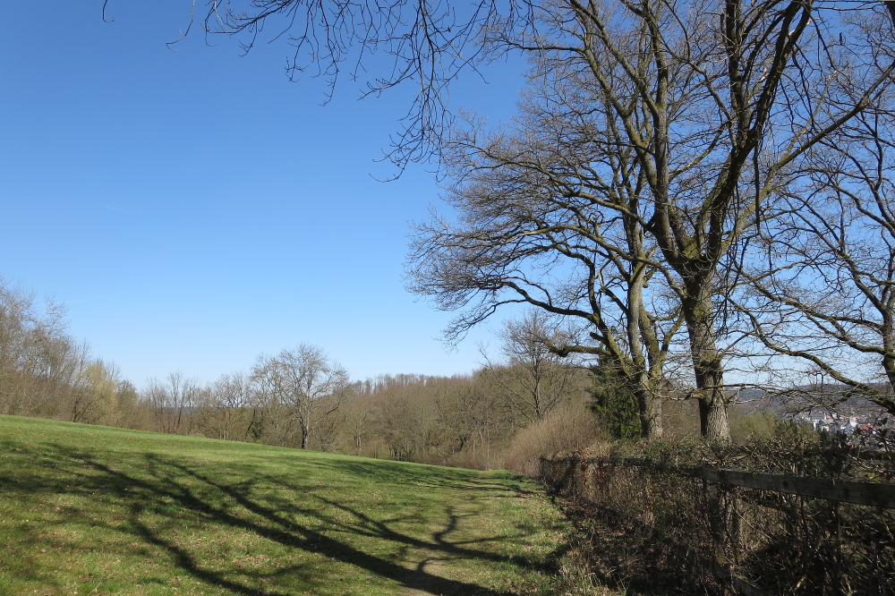 Sauersteig – Arnsberger Runde