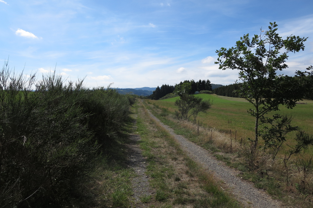 Sauersteig – Orketal Berge Runde – Medelon