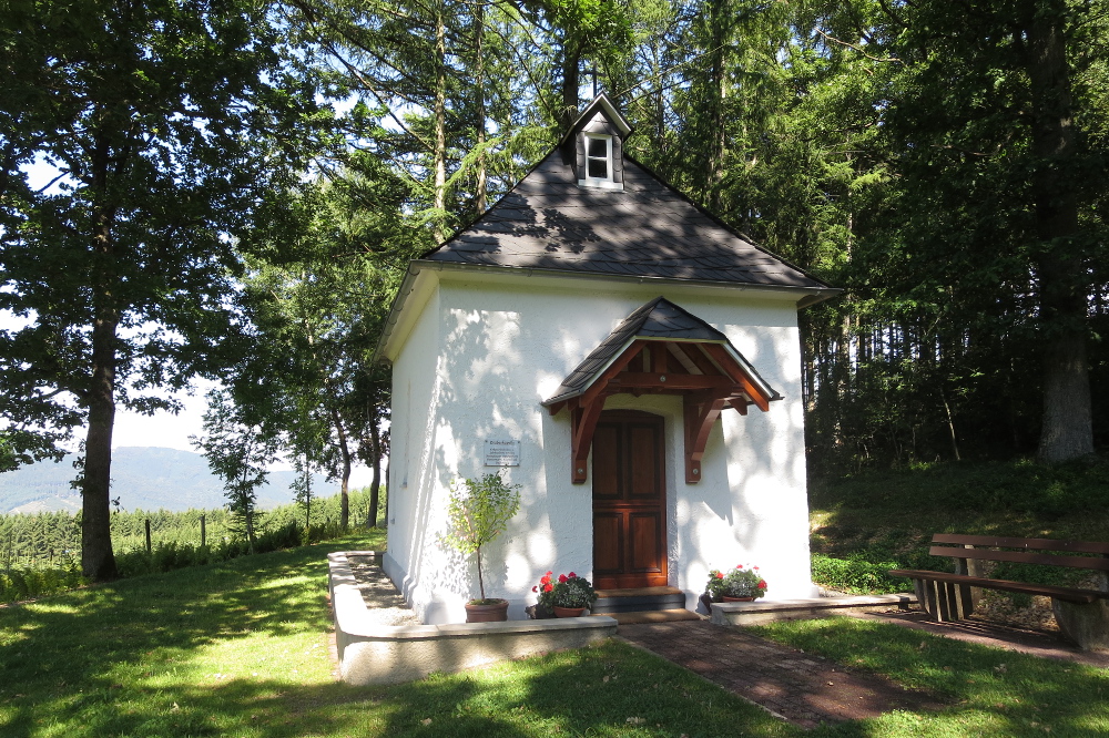 Sauersteig – Burg Wildenstein Runde – Assinghausen