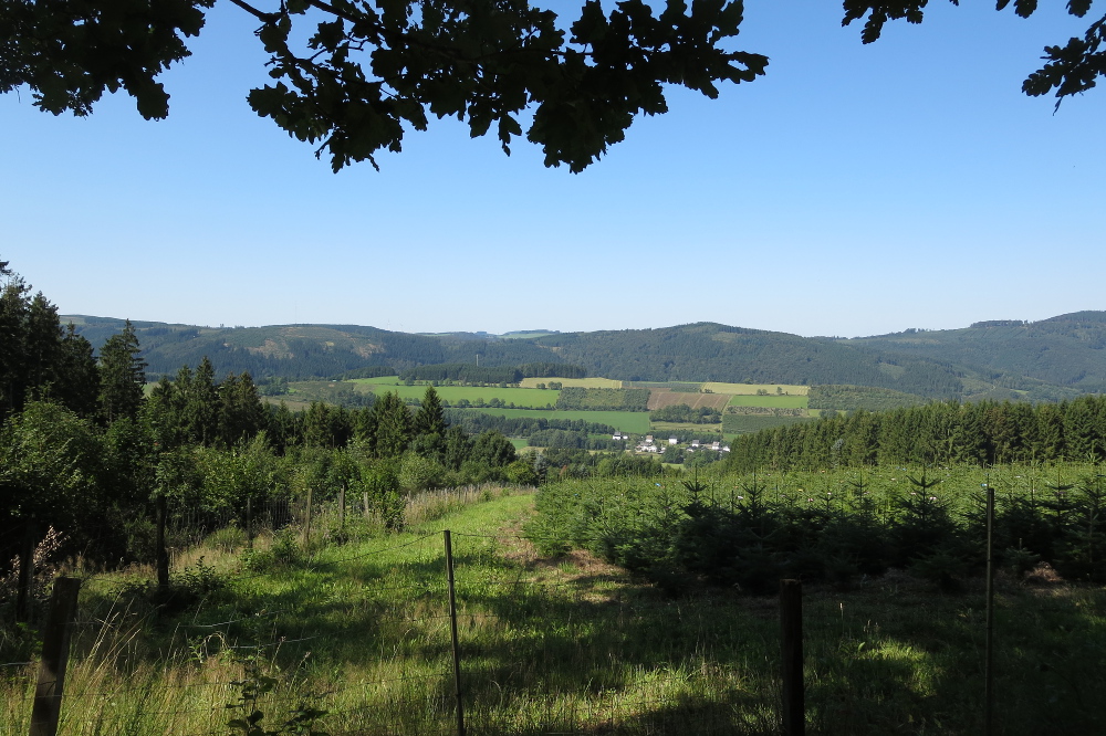 Sauersteig – Burg Wildenstein Runde – Assinghausen