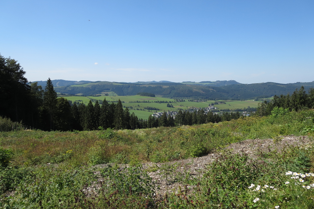 Sauersteig – Burg Wildenstein Runde – Assinghausen