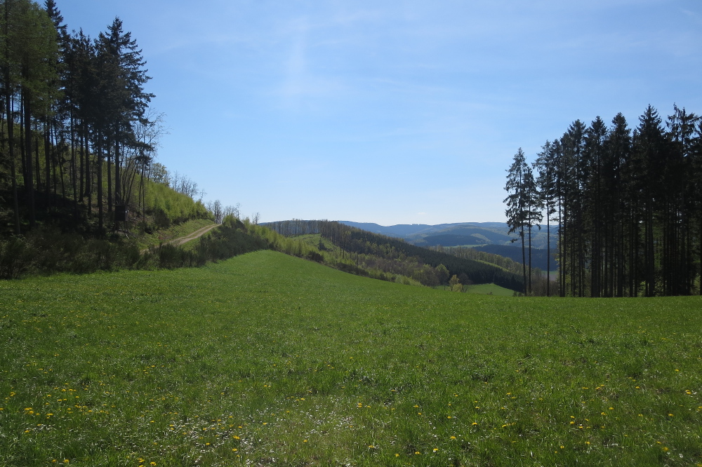 Sauersteig - Schatz des Manitu Runde