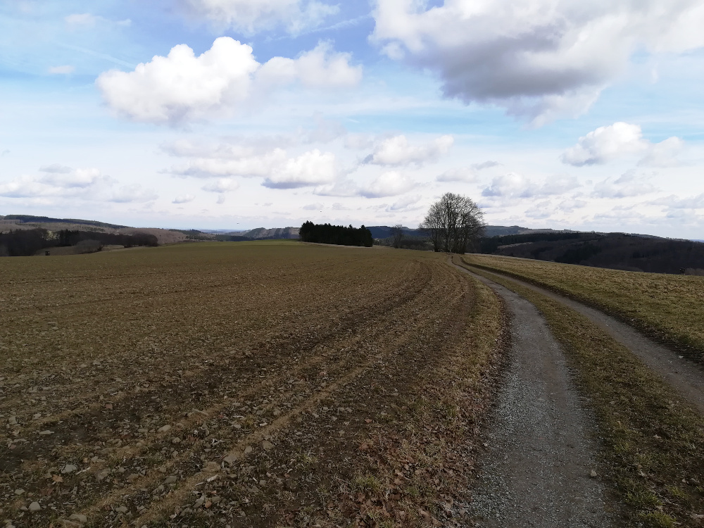 Sauersteig – Zwölf Elfenland Runde
