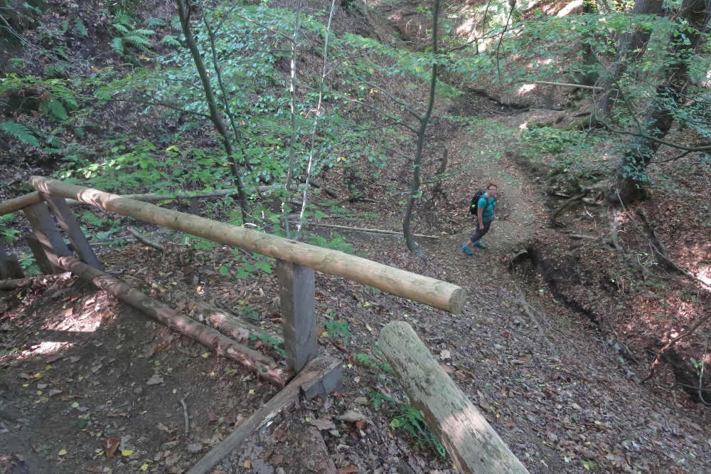 Sauersteig – Lüerwald und Bieberbach – Oesbern