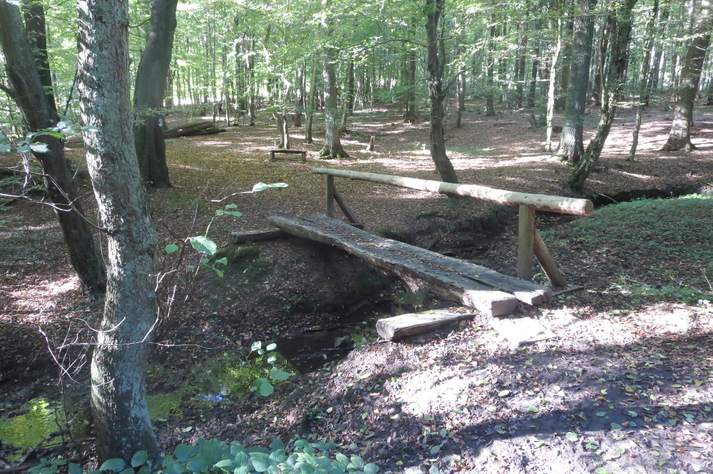 Sauersteig – Lüerwald und Bieberbach – Oesbern