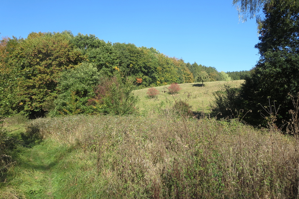 Sauersteig – Lüerwald und Bieberbach – Oesbern