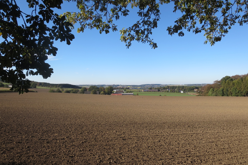 Sauersteig – Lüerwald und Bieberbach – Oesbern