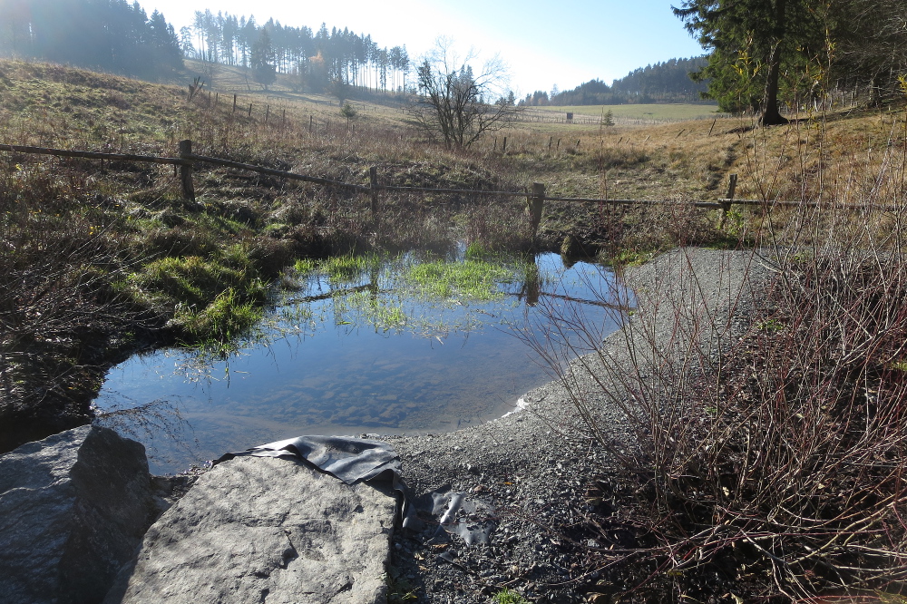 Sauersteig – Blick ins Land Runde - Usseln