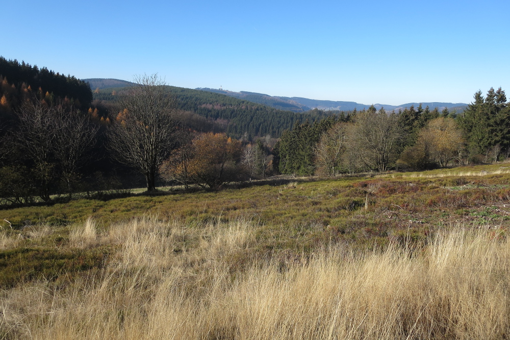 Sauersteig – Blick ins Land Runde - Usseln