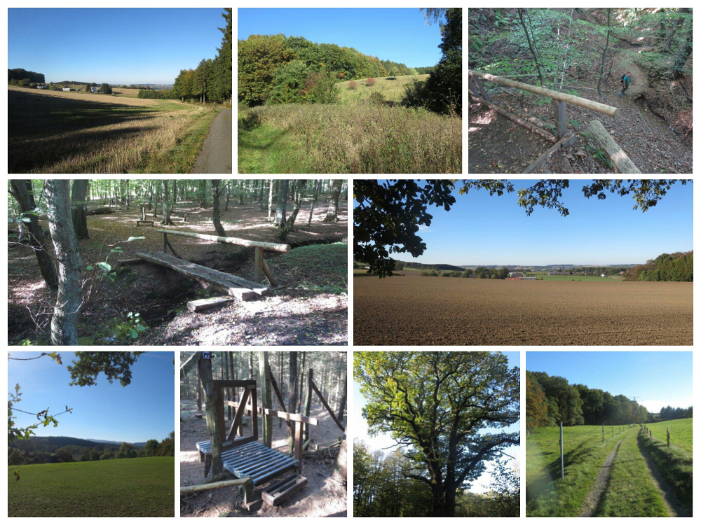 Sauersteig – Lüerwald und Bieberbach – Oesbern