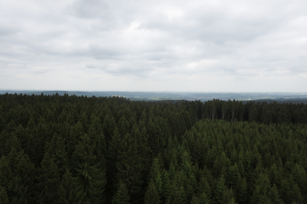 Sauersteig – Lörmecke-Turm-Pfad – Eversberg