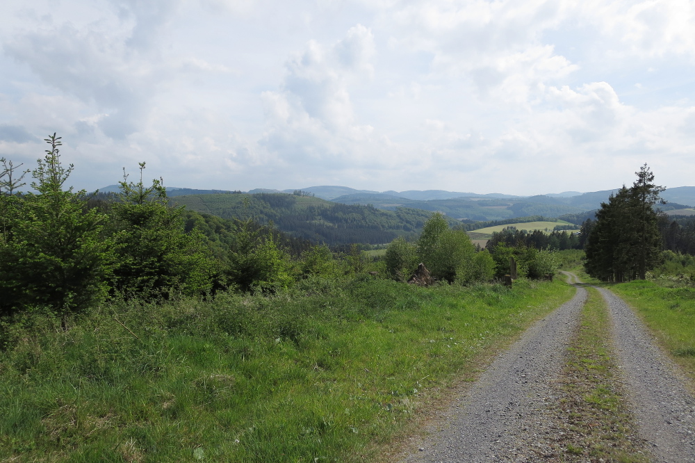 Sauersteig – Lörmecke-Turm-Pfad – Eversberg