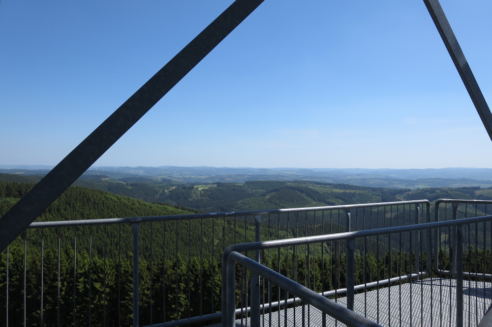 Sauersteig – Wilde 13 – Wildewiese