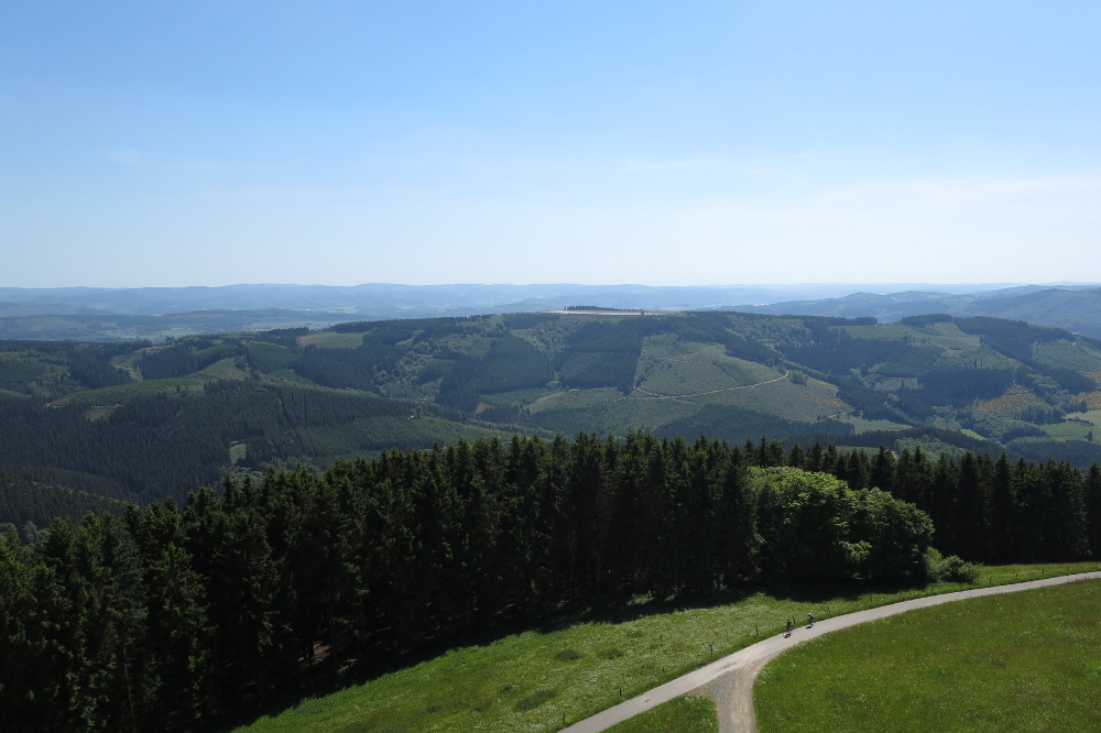 Sauersteig – Wilde 13 – Wildewiese