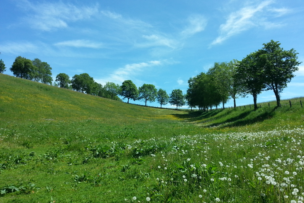 Sauersteig – Kahler Asten-Steig – Westfeld