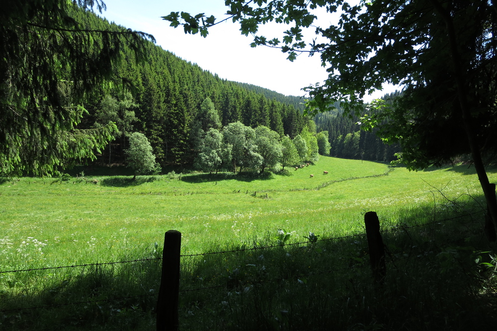 Sauersteig – Kahler Asten-Steig – Westfeld - Lennetal