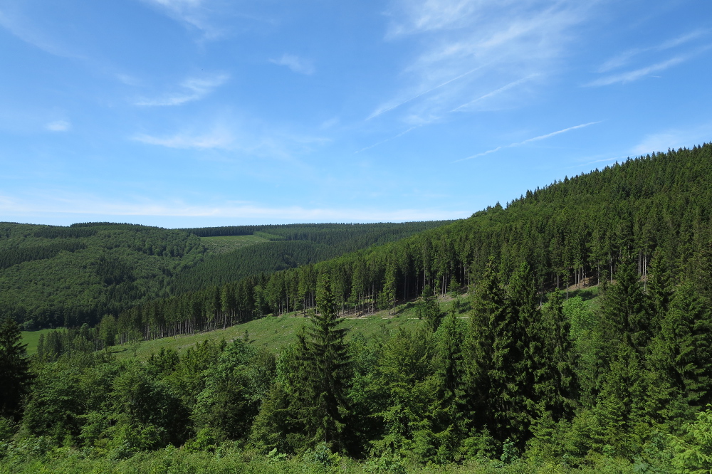 Sauersteig – Kahler Asten-Steig – Westfeld