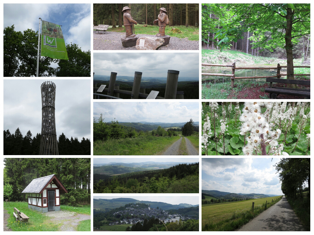 Sauersteig – Lörmecke-Turm-Pfad – Eversberg