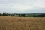 Sauersteig - Romberg Runde - Menden