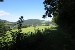 Sauersteig – Burg Wildenstein Runde – Assinghausen