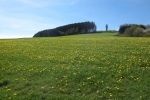 Sauersteig - Schatz des Manitu Runde